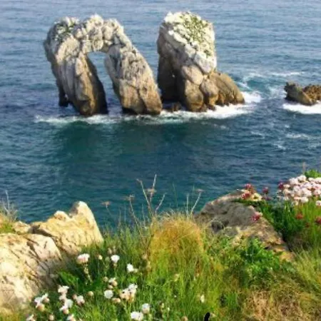 La Torre Con Piscina *