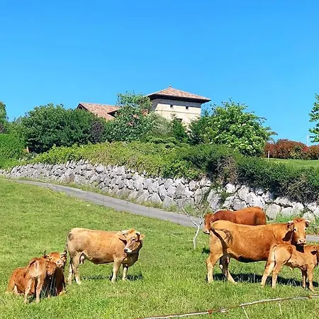 La Torre Con Piscina *