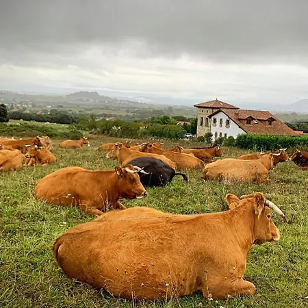 别墅 La Torre Con Piscina