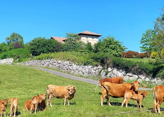 La Torre Con Piscina *
