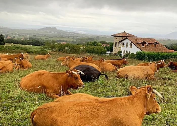 Willa La Torre Con Piscina